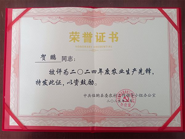 榮譽(yù)證書(shū)